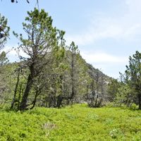 La maison de Frédéric
