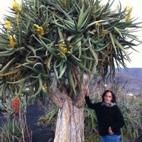 Maison à  Lanzarote iles canaries