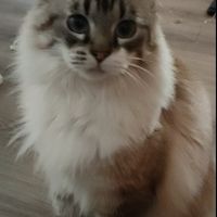 La maison de Isabelle