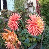 La parenthèse, France