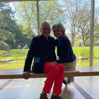 Une clairière dans la forêt