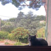 Fabienne & Marc's house