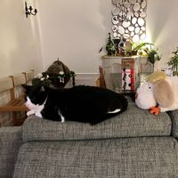 La maison de François