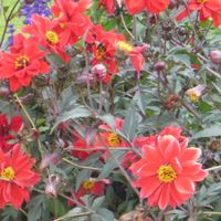 Bienvenue chez Anne !