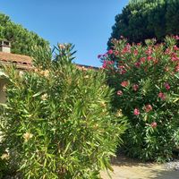 Anny et Nathalie s Haus