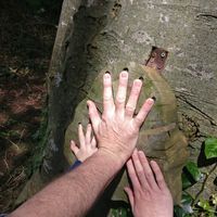 Spacious Modern Family Home - Dublin City 3 miles (15mins train).