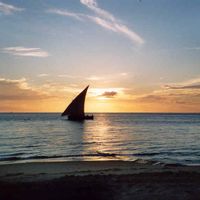 Zanzibar 60 m² beach villa. ZERO GUESTS POINTS. IN A ONE HECTARE PRIVATE PARK. THIS IS LUXURY