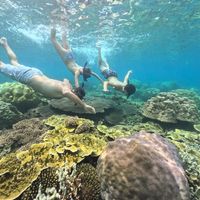 La maison de Alex & Heske