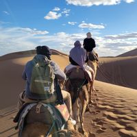 Maison lumineuse et bien équipée  avec 3 chambres et un grand jardin derrière les dunes.