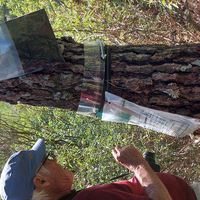 maison à Valle de Santa Inés, España