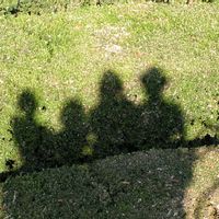 Wooden house in Brittany - search for august 2023 - Maison en bois en Bretagne