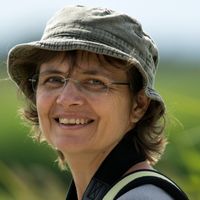 La maison d'Irene et Stephan