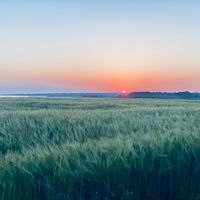 Nous habitons à Guidel plages, au coeur de la réserve naturelle du Loch et près de la mer.
