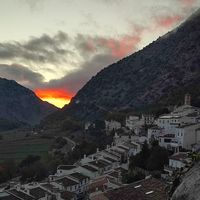Conchas hus