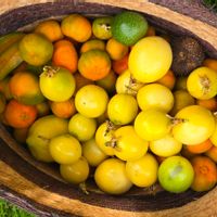 La maison de Peter & April