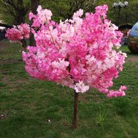 La maison de Begoña