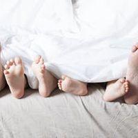 Au cœur des Pays de la Loire !