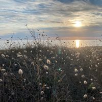 Appartement lumineux avec un surf, un vélo et des guitares