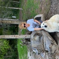 Piccola e accogliente casa a Vinigo di Cadore (escluso ferragosto e vacanze di Natale)