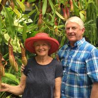 Laurie (Laurence)s hus