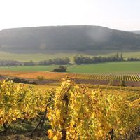 Maison bourguignonne de Carole Nico et Jade