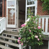 La maison de Henrik Brems