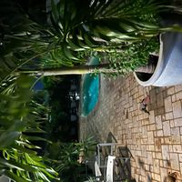 Bella's house