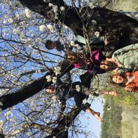 Nella natura casa colonica con biopiscina