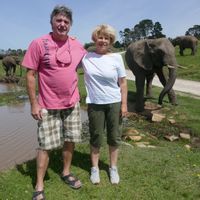 Bedroom + breakfast + S pool to  visit the Dordogne  Valley #hospitalité