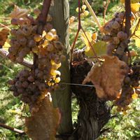 La maison de Jean -Christophe