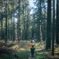 Le gîte de Dominique et Valérie