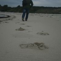 La maison de Nathalie & Anthony