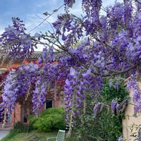 Casa di Tiphanie