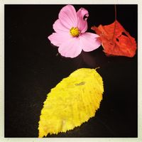 Une maison en plein centre-ville