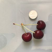 La maison de Roberta