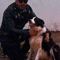 La maison de Margiotta