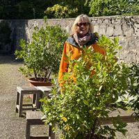 La maison de Waltraud