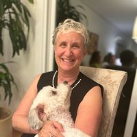 3 Bedroom House in San Anselmo (20 Minutes North of San Francisco)