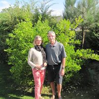 House 3 bedrooms 5 minutes walk to the beach (20kms from DINARD).