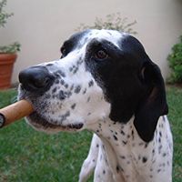 La maison de S Scott