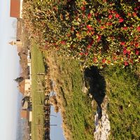 Sylvie's house
