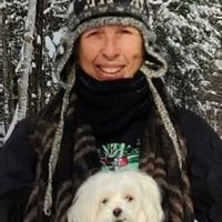 La maison de la forêt