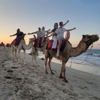 La maison de Aurelie et sa tribu