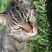 Notre chez nous au SUD