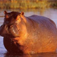 La maison de Jean baptiste