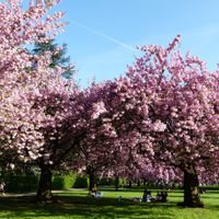 ancienne écurie transformée en habitation provençale