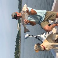 Rocky Swamp Farm guest cabin