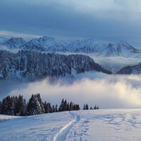 Appartement Rez jardin dans chalet