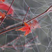 La chambre privée de Anngaël & Julien dans un moulin du 14ème siècle.  Au milieu de la nature