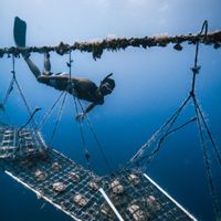 Maison bord de lagon – Baie d’Apu, Taha’a